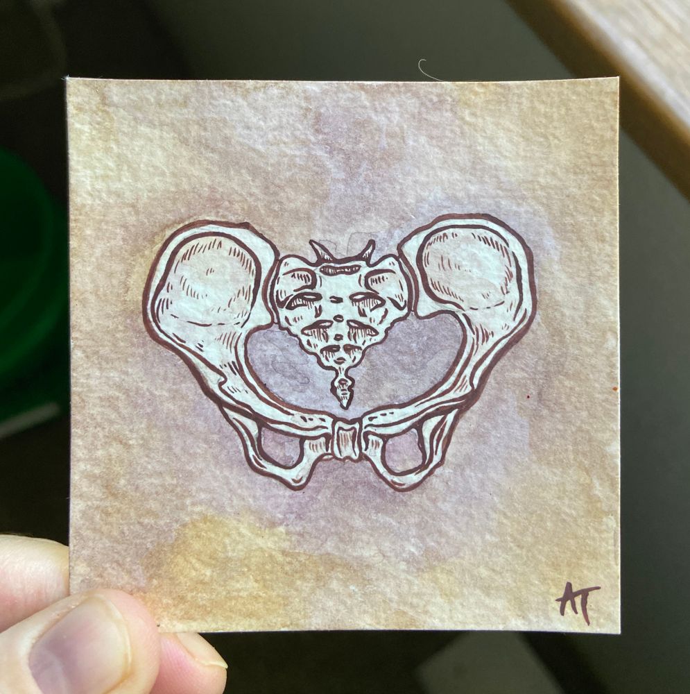 a mini painting of a human pelvis on a muted warm background. 