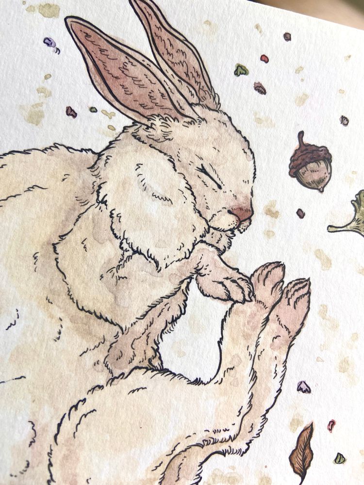 a delicate watercolor and ink illustration of a sleeping rabbit surrounded by foliage and acorns. 