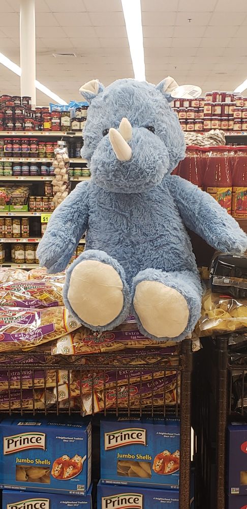 A closeup of another stuffed rhino atop a display of macaroni shells and noodles.  He is so cute and it hurt to leave him behind.