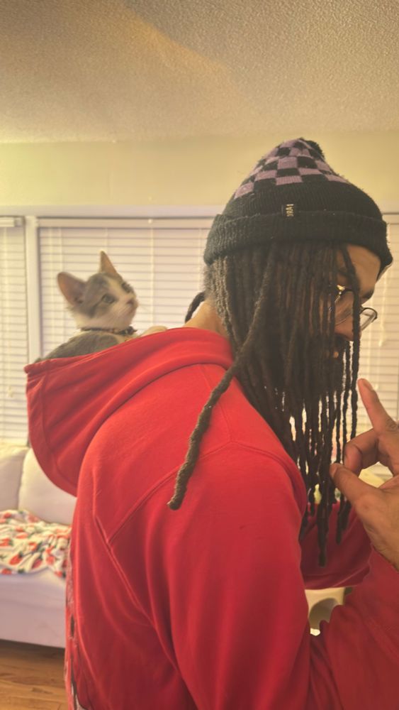 Cat stars on as he sits in man’s hoodie