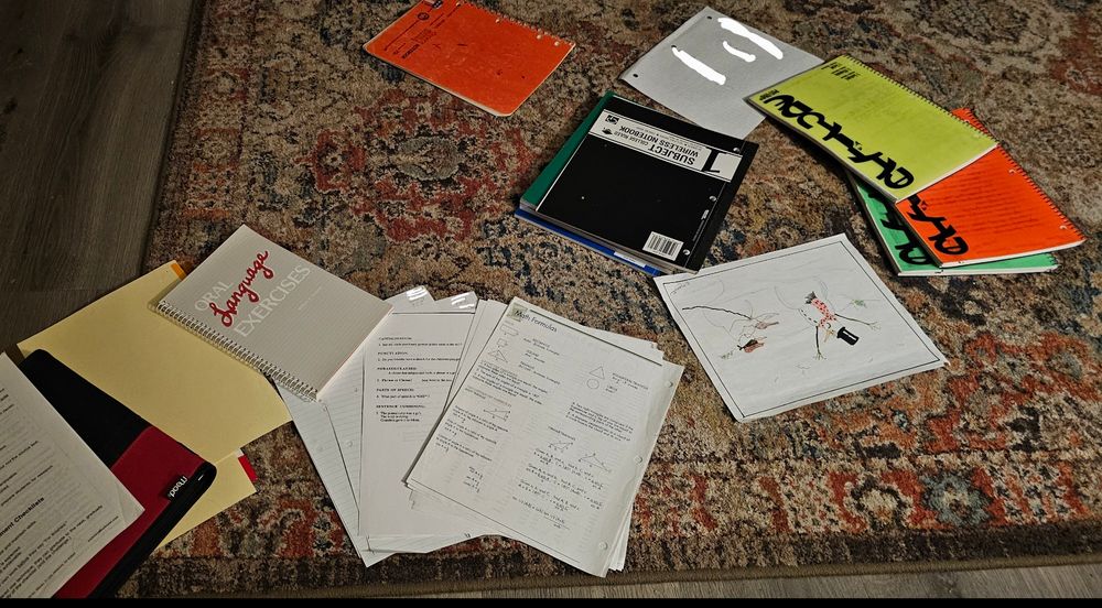 Notebooks and papers in loose piles scattered on a rug