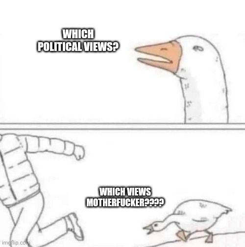Angry goose demanding to know which 