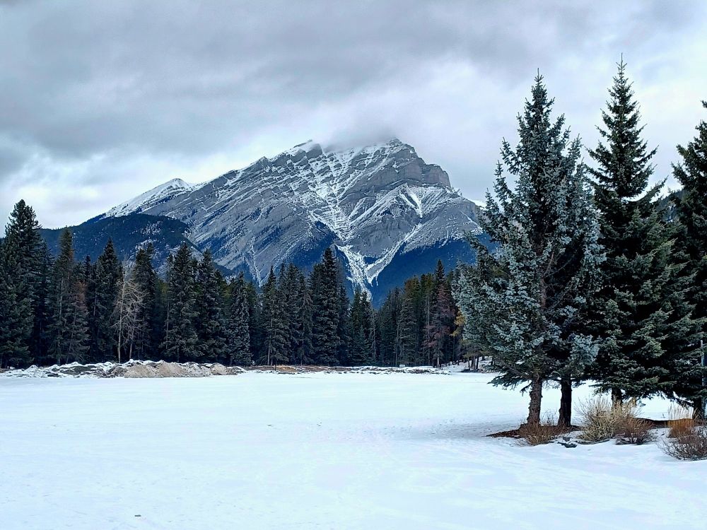 A frozen over lake with what I believe is Tunnel Mountain peak in the back, slightly obscured by grey clouds. There is greyish green pine around the lake.