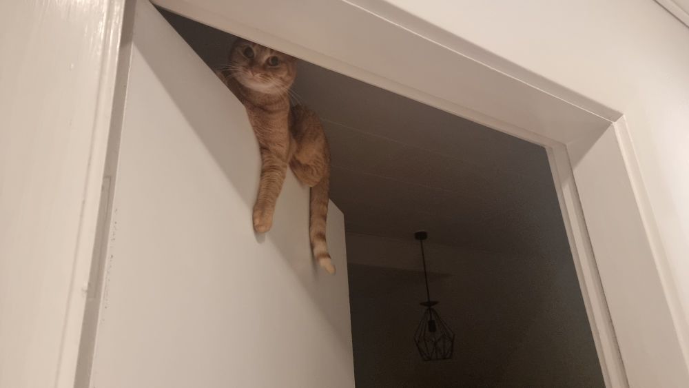 A photo of an orange cat laying leisurely on top of an upright white door, its front leg hanging lazily to the side of the door while the backleg is on top, keeping the balance. The cat's tail is also hanging casually on the side of the door. In the foreground of the picture is the white doorframe while in the background there's an unlit living room.