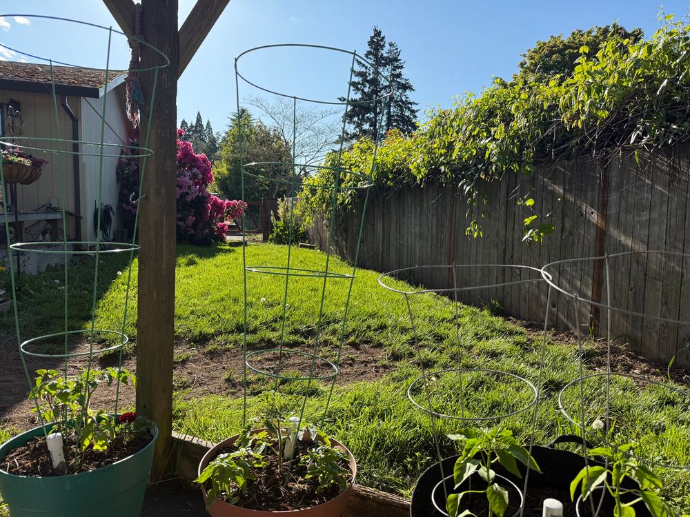 Looking out from the garden looking out. 