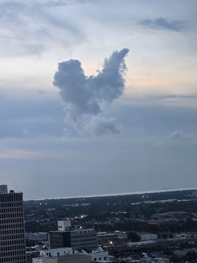 A cloud that looks like a chicken 