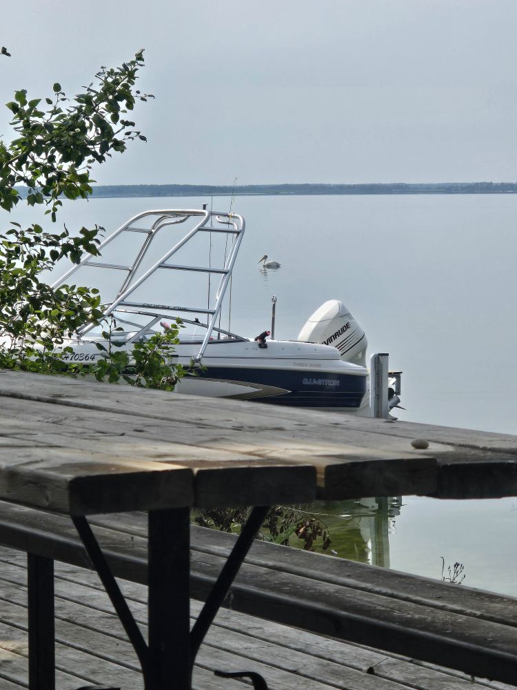 A pelican floats in the distance behind a neighbour's boat at the lake.