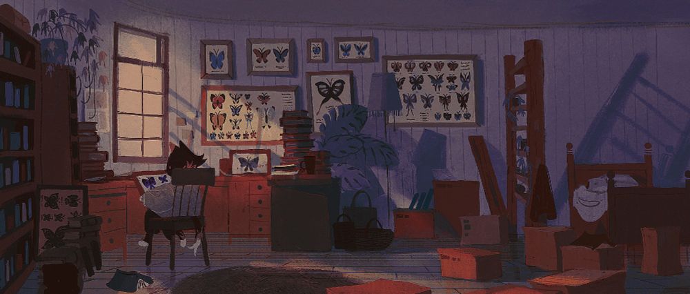 kitty looking at their new entomology collection while their room overstuffed witn things from moving