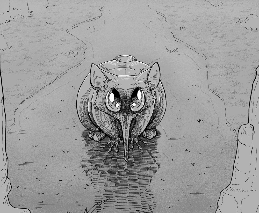 Kiwi, a small flightless gryphon that is crossed between a kiwi bird and a bobcat, is looking up at the viewer with very wide, intense eyes