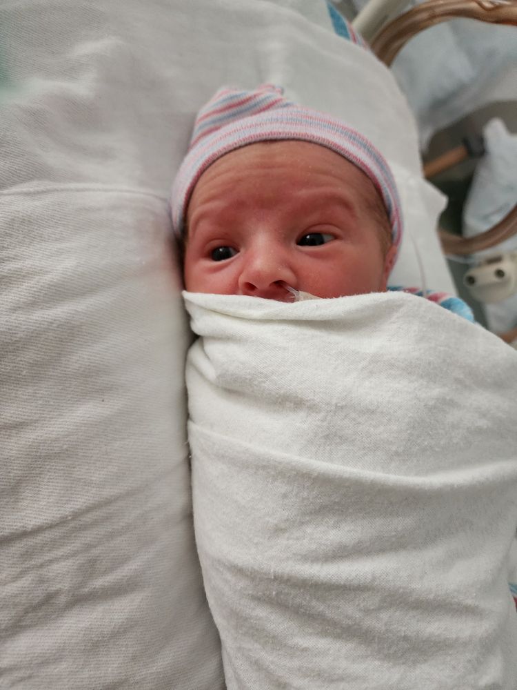 A newborn baby with his eyes open in a swaddle