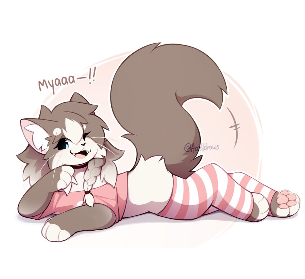Miya, ragdoll cat, flops and myaas