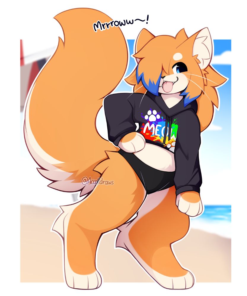 Aaron, orange cat, meows and poses in a crop-top hoodie with his tongue out