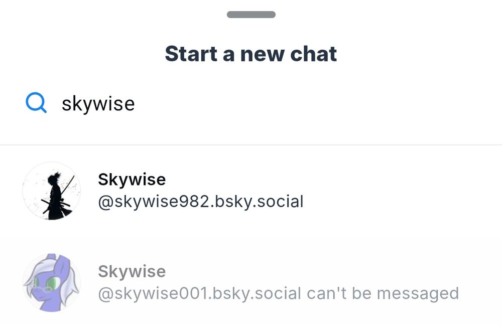 A screwnshot reading "Start a new chat" at the top, keyword "skywise" typed in the search bar, 2 results below.
Bottom is greyed out, top seems available, unclear if both are used by the same person