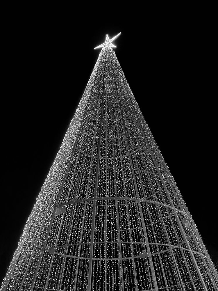 Grayscale picture of a led xmas tree with a big star up top. #real
