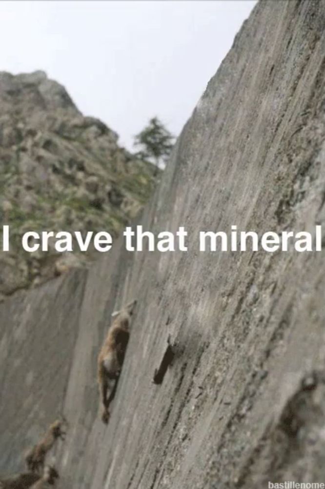 a picture of a mountain sheep with the words i crave that mineral below it