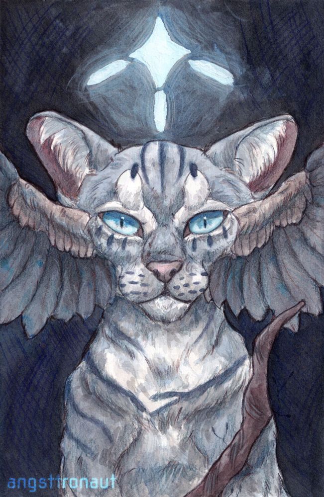 An illustration of the character Jayfeather from warrior cats sitting. There are jay wings emerging from his cheekbones. He is holding his stick. Above his head an abstract star with three beams floats.