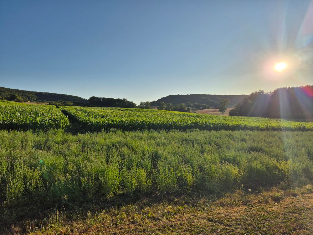 Views across the French countryside