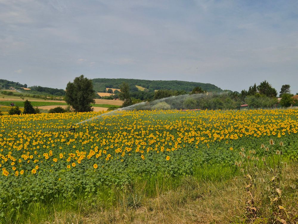 Views across the French countryside