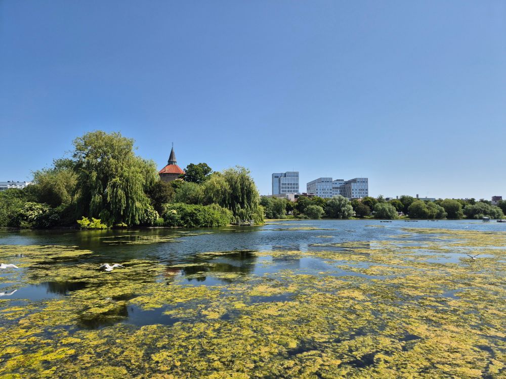 View across lake in Malmö