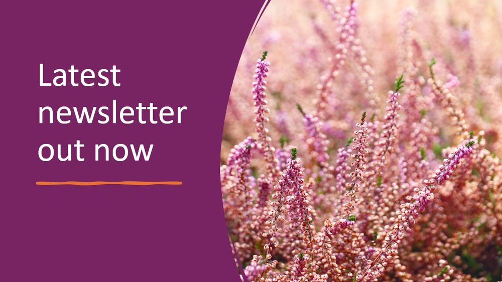 Image of heather and wording Latest news letter out now