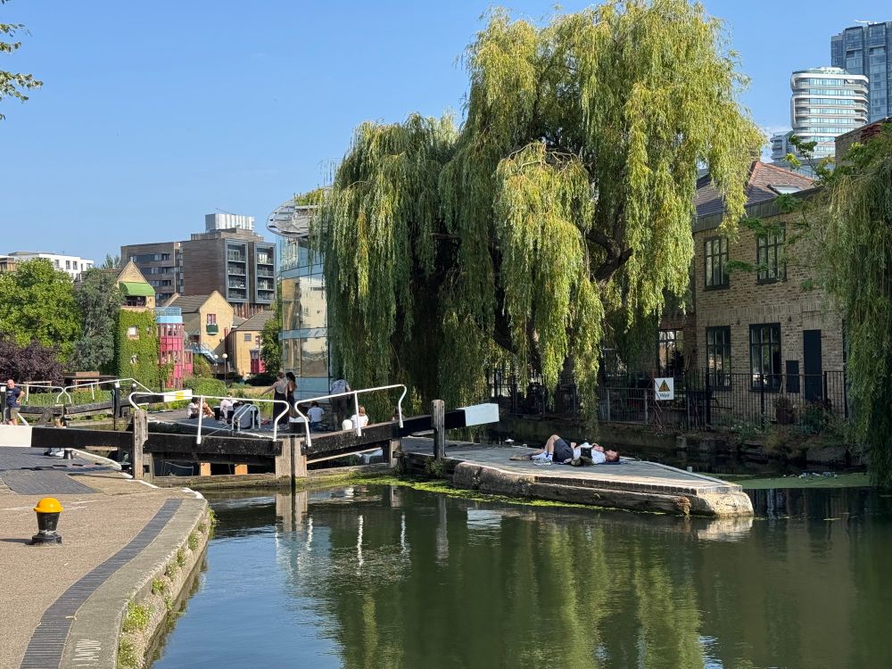 A photo of a canal lock, people are resting on the central divider, there’s a weeping willow in the background 