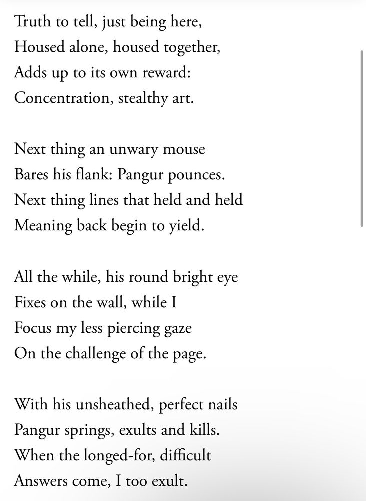 Stanzas 3–6 of Pangur Bán, translated by Seamus Heaney: 

Truth to tell, just being here, Housed alone, housed together,
Adds up to its own reward:
Concentration, stealthy art.
Next thing an unwary mouse
Bares his flank: Pangur pounces.
Next thing lines that held and held
Meaning back begin to yield.
All the while, his round bright eye Fixes on the wall, while I Focus my less piercing gaze On the challenge of the page.
With his unsheathed, perfect nails Pangur springs, exults and kills.
When the longed-for, difficult Answers come, I too exult.