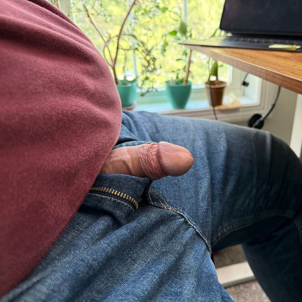 Side view of a man sitting at a desk wearing a maroon pullover and blue jeans. His fly is down and his hard wiener is poking out. In the background is a window with leggy jade plants on the sill. 