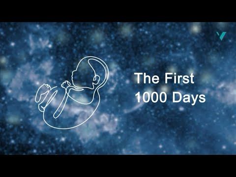 The First 1000 Days