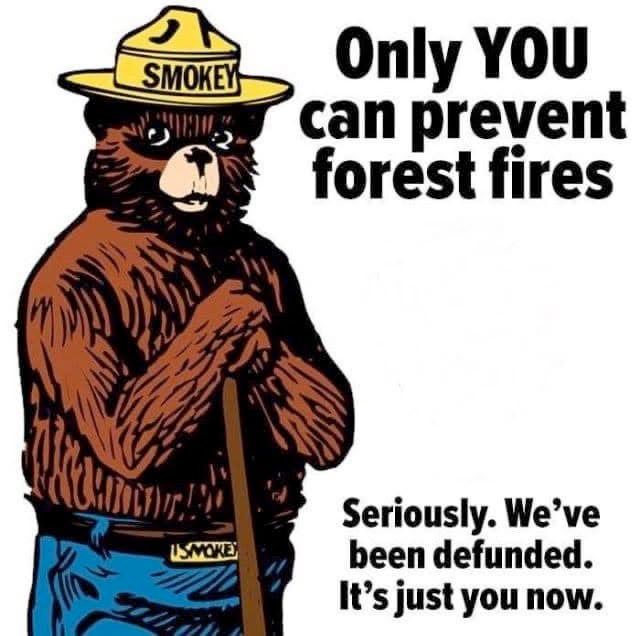Image of Smokey the Bear saying, "Only you can prevent forest fires.  Seriously.  We've been defunded.  It's just you now."