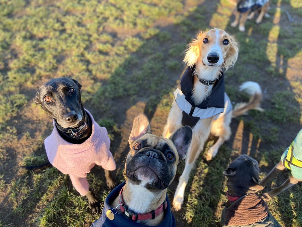 Casper with his former band mates, a bunch of talentless losers who were holding him back