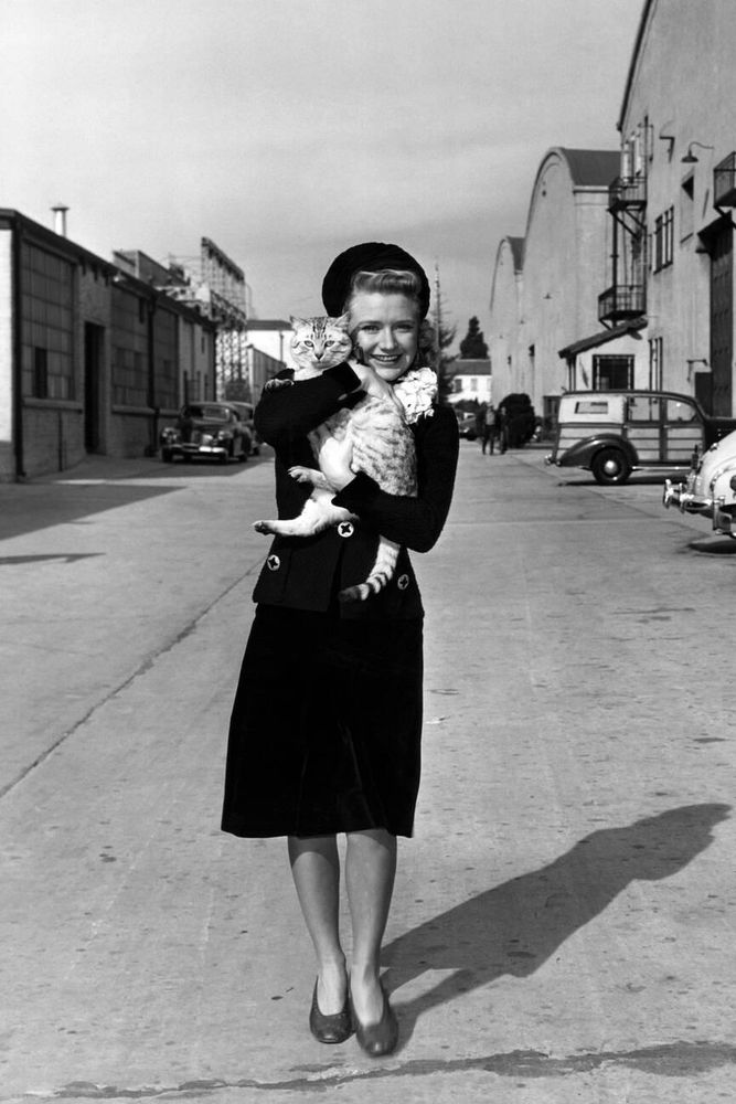 Actress Priscilla Lane — in costume, dressed in a black day dress, cardigan and hat — captured facing the camera as she walks toward it, smiling broadly while holding a cat in her arms, various buildings and cars in the background, in a full-length black-and-white shot taken on the Warner Bros. studio lot during a break from filming Arsenic and Old Lace (1944)