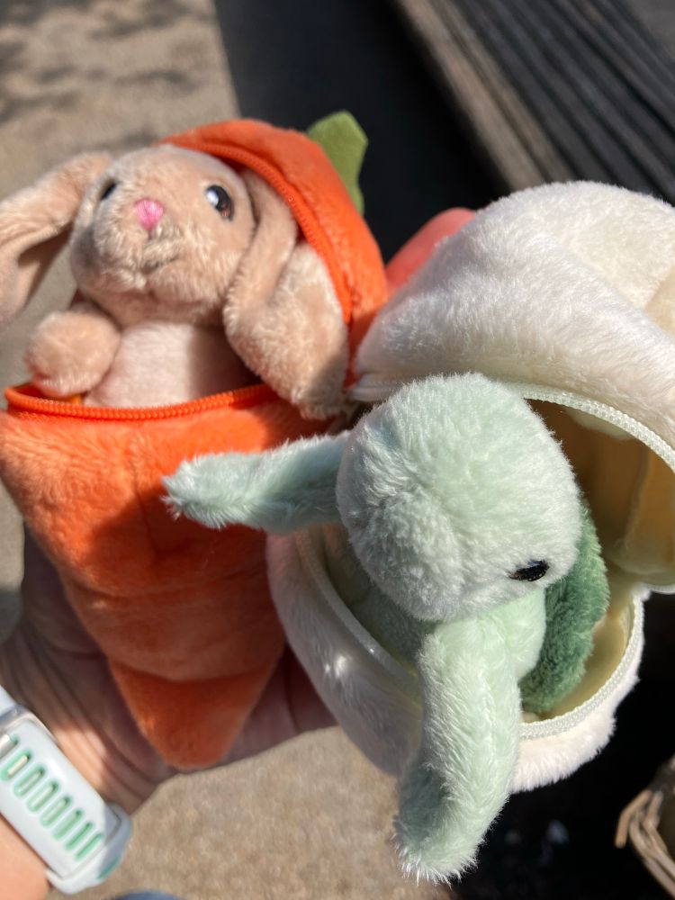 Plushies, one a turtle emerging from an egg, the other a rabbit coming out of a carrot
