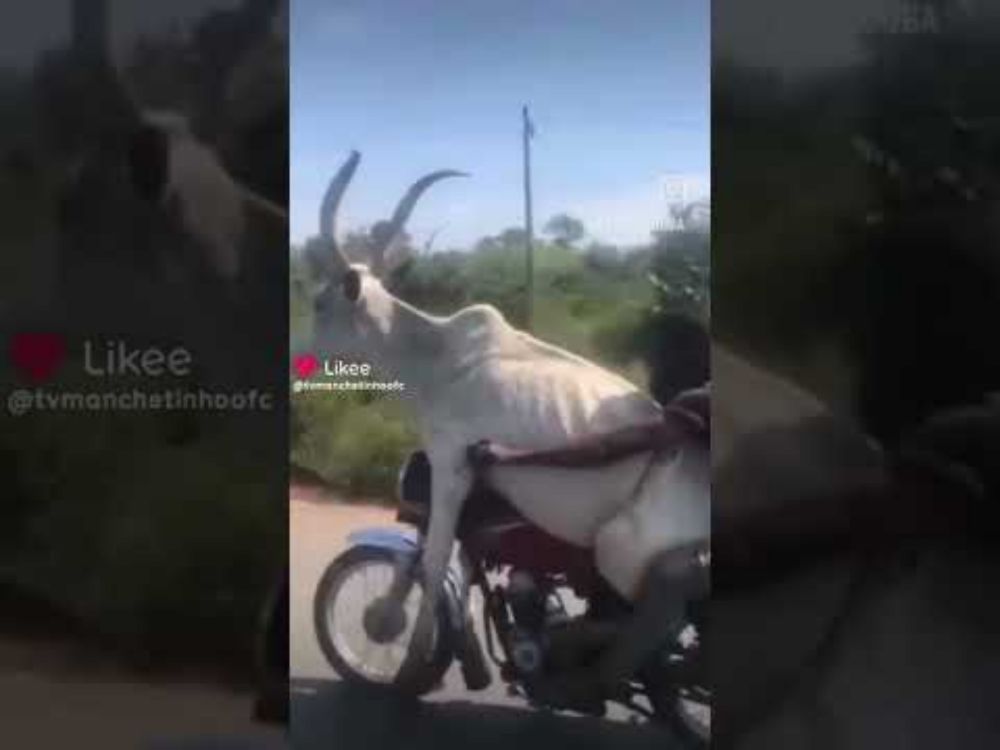 #shorts #youtube #fypシ゚viral #supercars