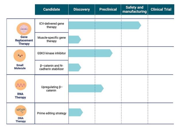 Different treatment options being explored for CTNNB1 syndrome