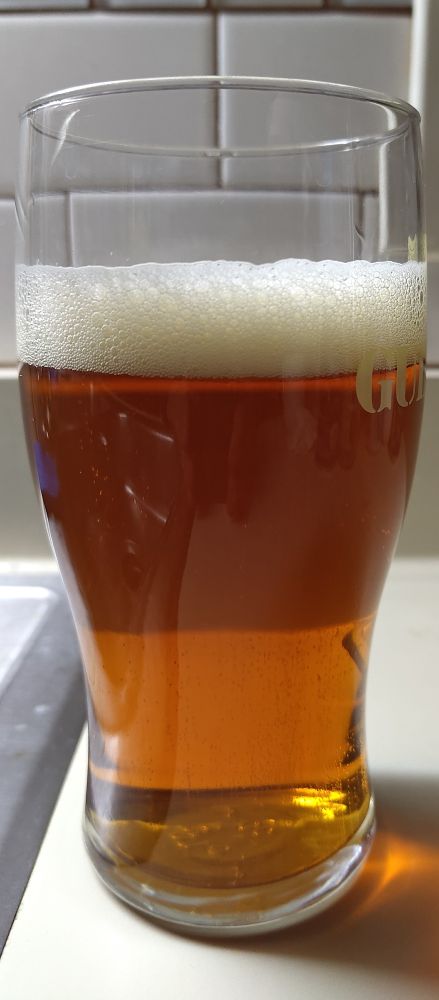A delicious glass of Nugget Nectar beer.
