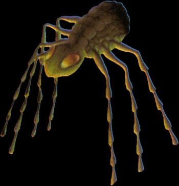Artist's rendering of the giant spider species known as #SpydrothTarantulus; one of the dungeon-dwelling monsters in The Quest for the Rings video game. 