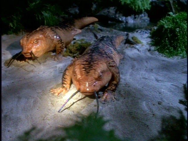 The de-evolved lizard versions of Captain Janeway and Tom Paris