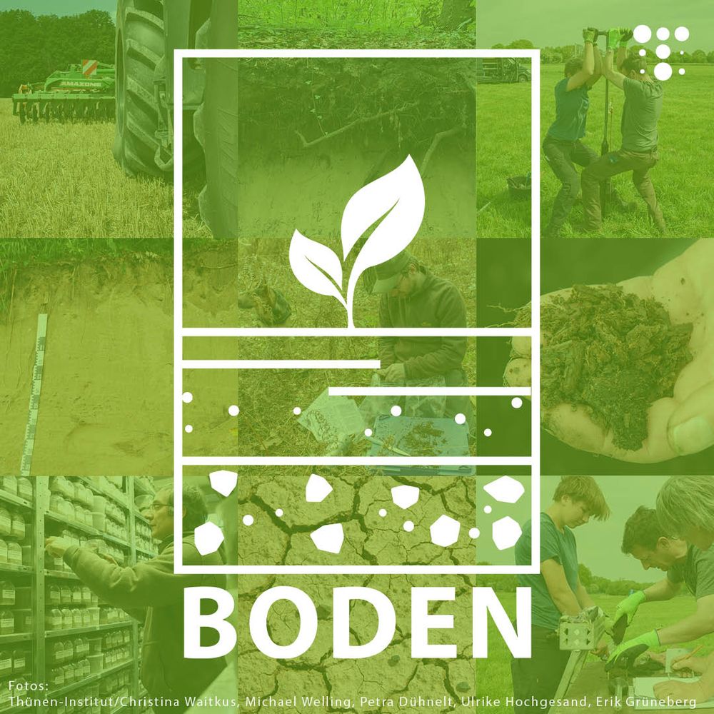 Collage aus Bildern zu Boden, Landwirtschaft, Wissenschaft, Feldforschung und Monitoring-Aktivitäten, mit Symbol eines Blattes und dem Schriftzug 'BODEN'