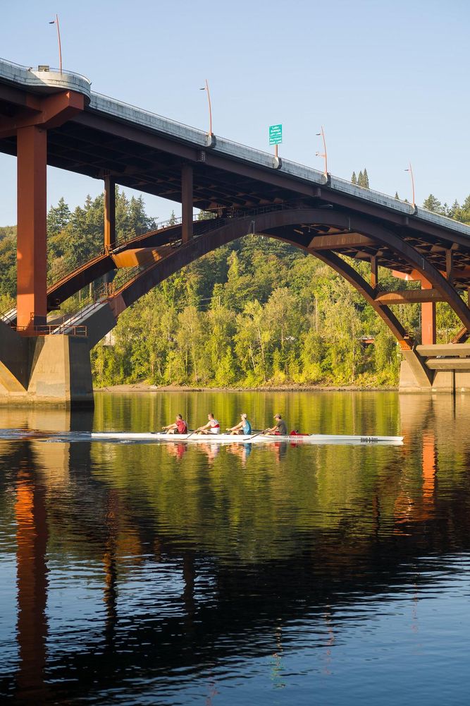 A rowing team on a river with a large arched bridge above, surrounded by trees and sunlight reflecting off the water.