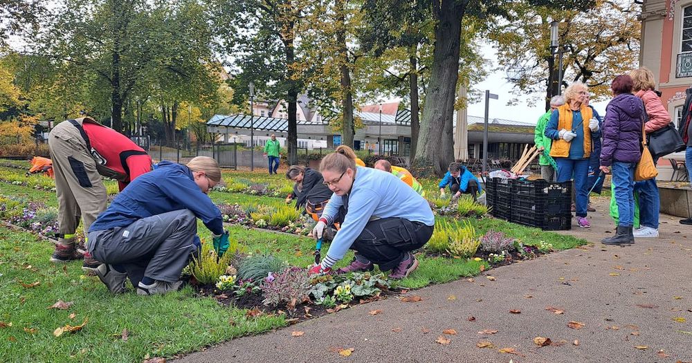 Freiwillige pflanzen 20.000 Tulpenzwiebeln im Gmünder Stadtgarten