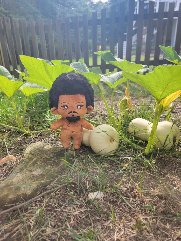 Roach doll by Irene, standing next to a squash & vine. He said that Buttons told him that nude is the best way to garden, but maybe those mosquito bites will make him rethink that advice. 