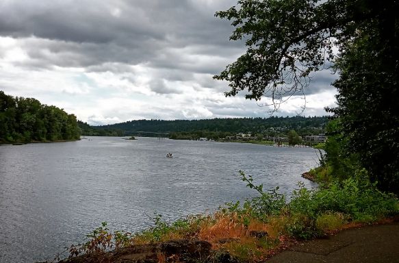 For those not in PDX, this is about 1000 ft away from the ICE facility... Peaceful river scene. 