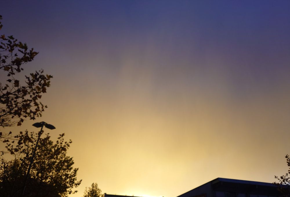 Gelblich leuchtende Abenddämmerung nach dem Regenschauer, im Vordergrund schwarze Umrisse von Bäumen und Gebäuden.