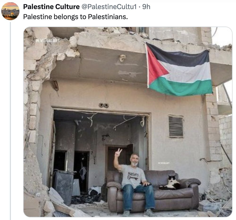 Ein Mann sitzt auf einem braunen Sofa in einem stark beschädigten Gebäude in Gaza - Palästina. Er macht ein Victory-Zeichen mit der rechten Hand und lächelt. Neben ihm liegt eine schwarz-weiße Katze auf dem Sofa. Über ihnen hängt eine palästinensische Flagge an der zerstörten Fassade. Das Gebäude ist schwer beschädigt, mit abgebrochenen Wänden, Trümmern und freiliegenden Kabeln. Der Text oben lautet: „Palestine Culture 

