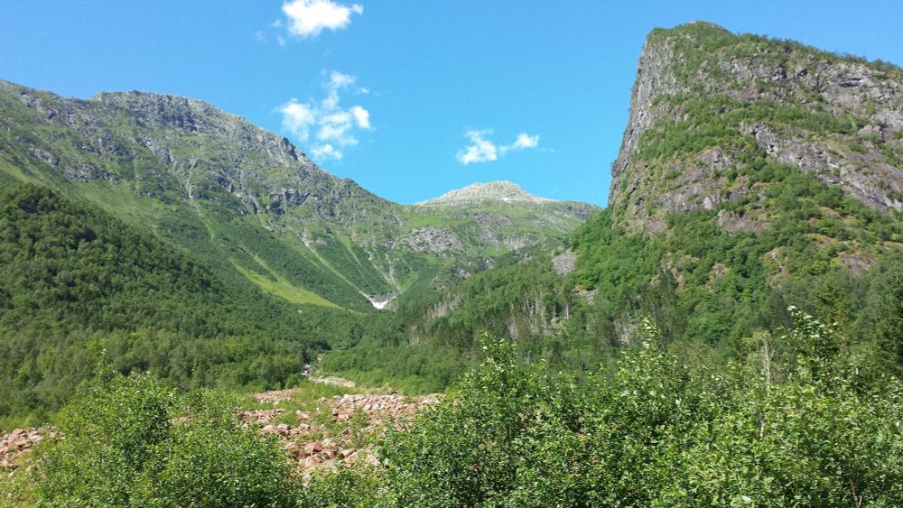 Bergen landscape