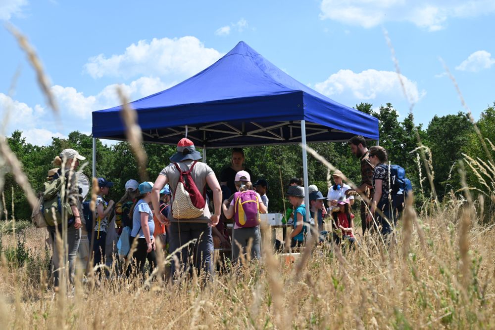 At the BioBlitz, children get to know the animals and plants of our agricultural landscapes up close and can become researchers themselves for a day. (Image: Martin Wegmann / Earth Observation Research Hub)