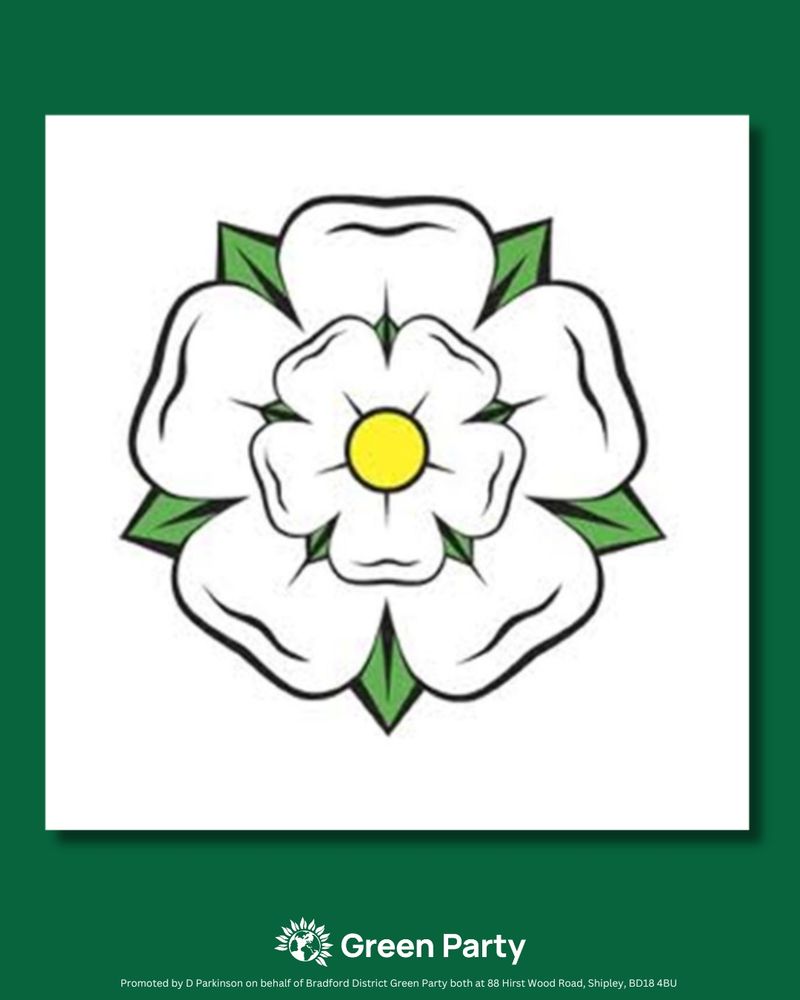 White Yorkshire Rose on green background