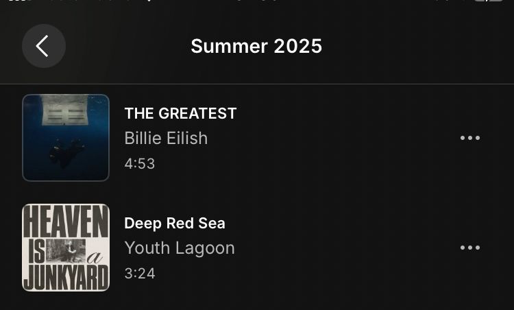 The last two songs in the playlist: THE GREATEST by Billie Eilish and Deep Red Sea by Youth Lagoon