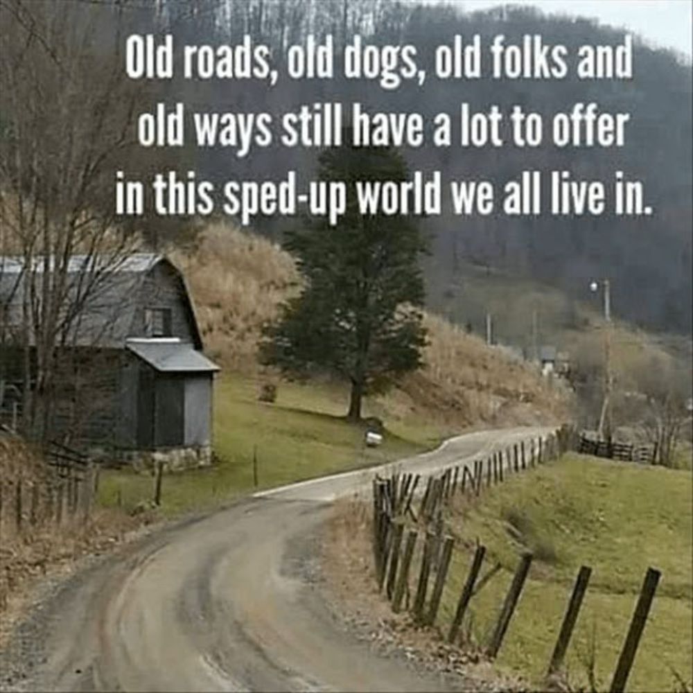 Old roads, old dogs, old folks and old ways still have a lot to offer in this sped-up world we all l...