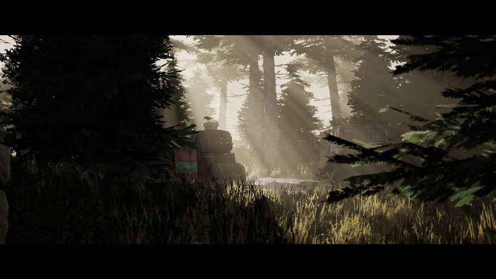 Sunlight streams through what looks to be a tranquil forest.